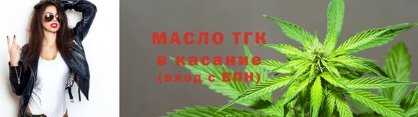 мяу мяу мука Белокуриха
