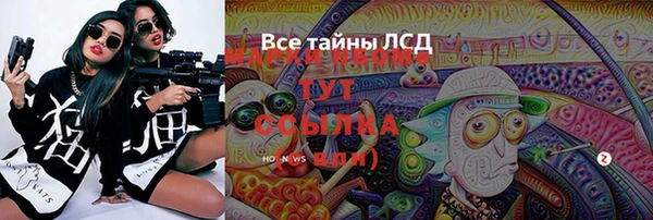 мяу мяу мука Белокуриха