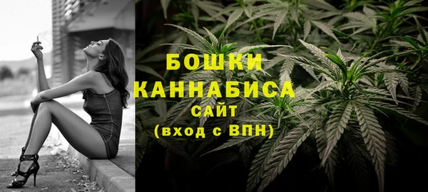 мяу мяу мука Белокуриха