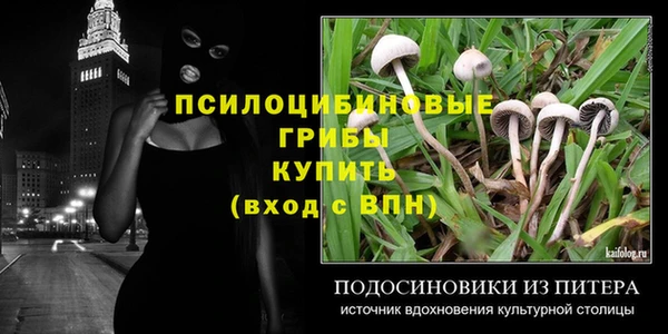 мяу мяу мука Белокуриха