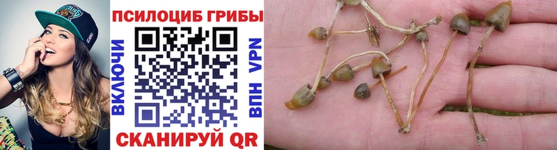 Галлюциногенные грибы GOLDEN TEACHER  Воскресенск 