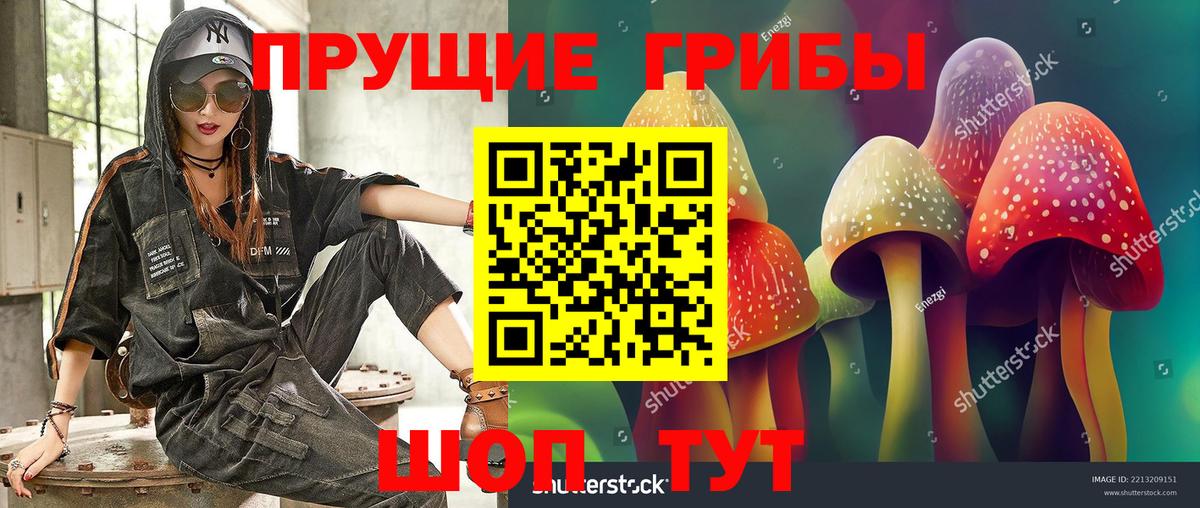 Псилоцибиновые грибы Psilocybine cubensis Воскресенск